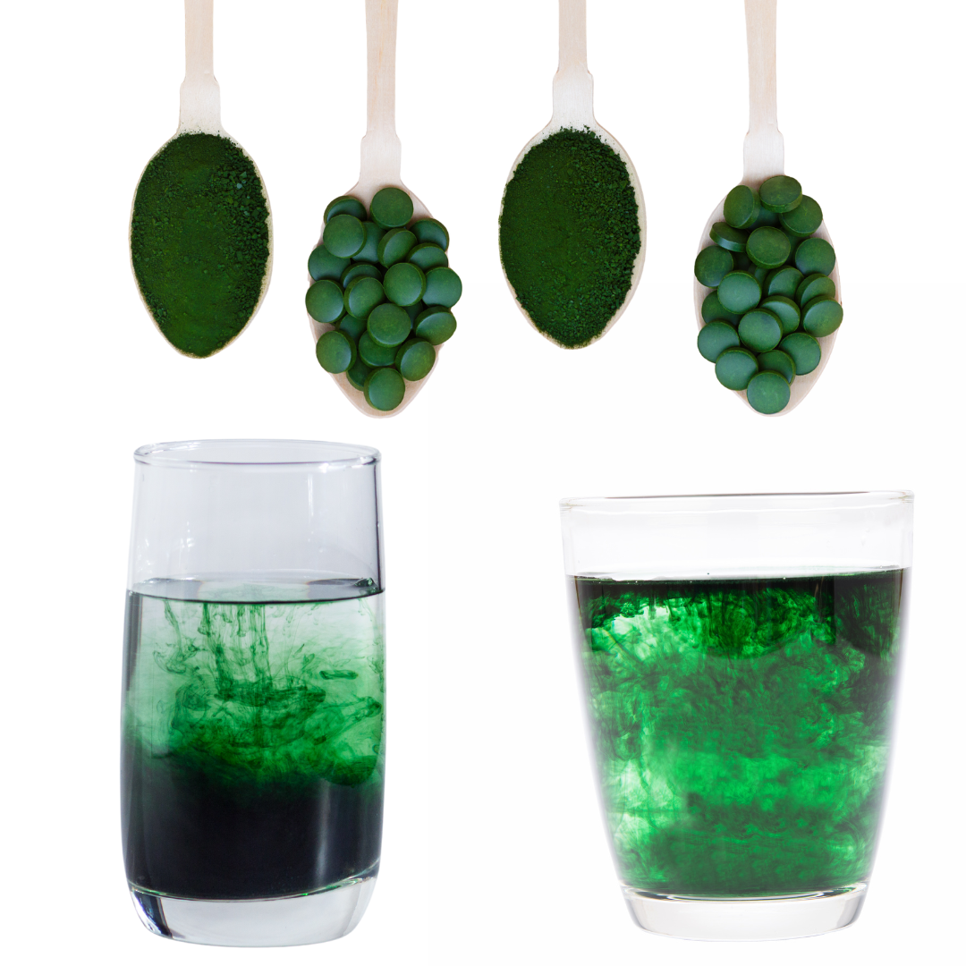 Chlorophyll powder can be mixed well in water for daily consumption. Thy are also available in tablet form.